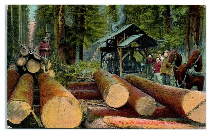 1910 Logging with Donkey Engine, WA Postcard *6E(2)20