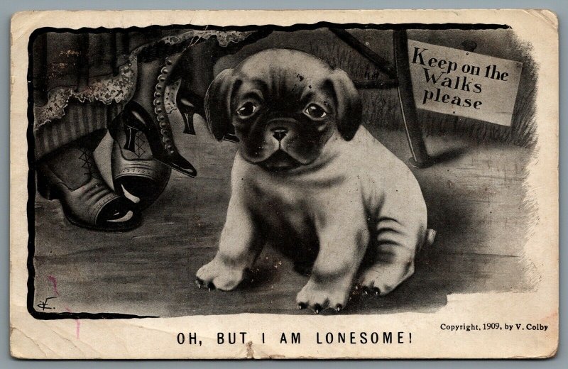 Postcard Comic c1909 Keep on the Walks Please Oh But I am Lonesome A/S Puppy