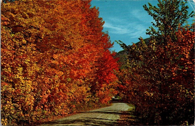 Vermont - Beauty Of Autumn - [VT-100]