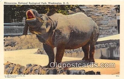 Washington DC, USA Rhinoceros, National Zoological Park Unused 