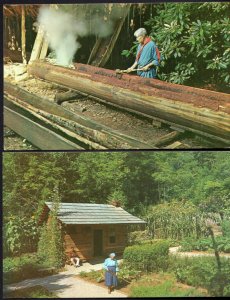 (2) NC Cherokee Arboretum and Nature Trail Oconaluftee Indian Village - Chrome