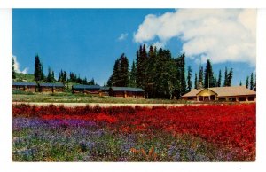 UT - Cedar Breaks National Monument. The Lodge