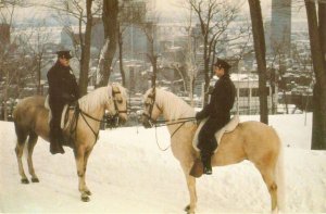 Horses. Two Montreal mounted policemen  Modern Canadian   photo postcard