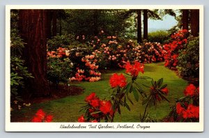 Rhododendron Test Gardens in PORTLAND Oregon Vintage Postcard 0938