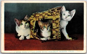 1913 Kittins In The Basket Cute Little Pets Posted Postcard