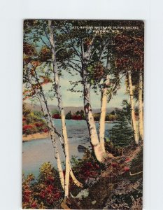 Postcard Rippling Water & Silvery Birches White Mountains New Hampshire USA