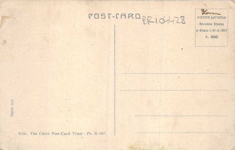 br104428 bufalo on the nile ghizeh pyramides cairo africa egypt