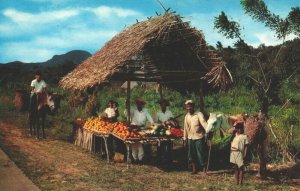 Panama Native Fruitstand Pan-American Highway Chrome Postcard 08.90