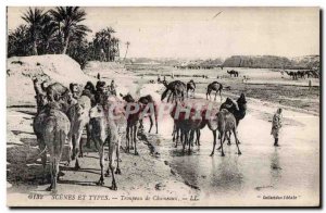 Old Postcard Morocco Scenes And Types Herd Camel Camel Camel