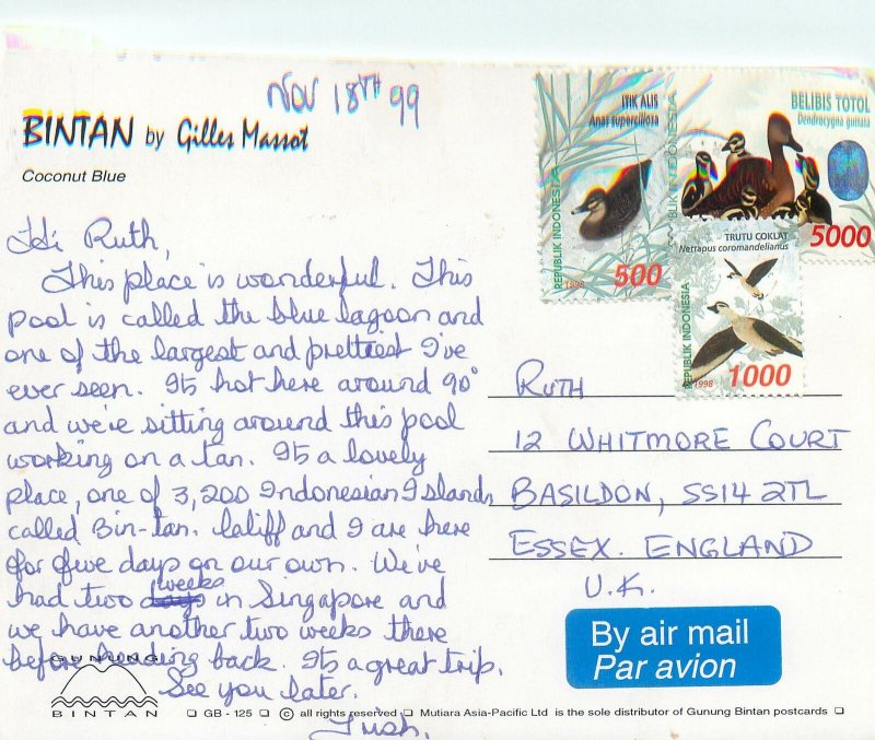 Postcard Asia Indonesia Bintan Coconut blue 1999 tropical paradise