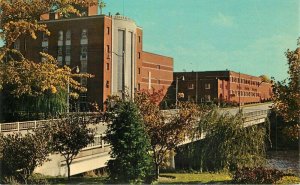 Frankenmuth Michigan Carling Brewing Beer Teich 1950s Postcard 21-7449