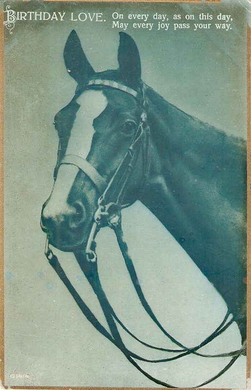 A Horse's Head Nice old vintage English Birthday Greetings  postcard