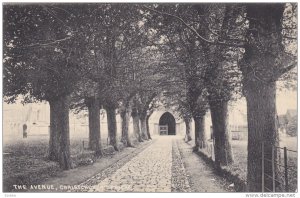 The Avenue , CHRISTCHURCH Priory , England , 00-10s