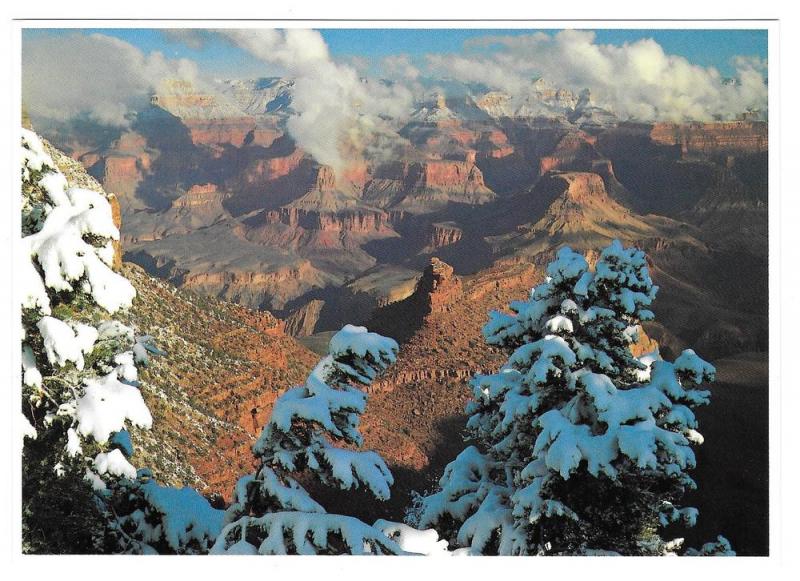 Grand Canyon First Snow Winter Fred Harvey Chrome 4X6 AZ