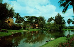 Florida Miami Springs Miami Springs Villas and Kings Inn The Lagoon Tropical ...