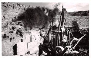 Garden Tomb Jordan Unused 