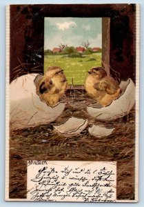 Easter Postcard Hatched Eggs Baby Chicks c1905 Posted Antique