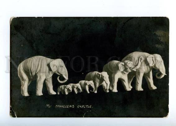 148861 Happy ELEPHANT Figures Vintage PHOTO PC