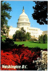 Postcard - The Capitol - Washington, District of Columbia