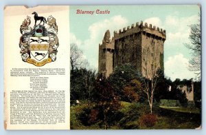Cork Munster Ireland Postcard Blarney Castle c1910 Antique Unposted