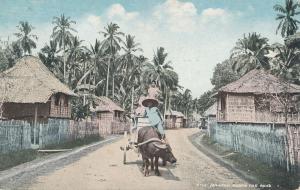 Ox Cart Along The Road - Cagayan Region of the Philippine Islands - DB