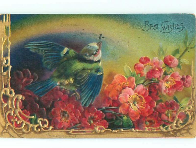 Divided-Back BIRDS SCENE Pretty Postcard AA8745