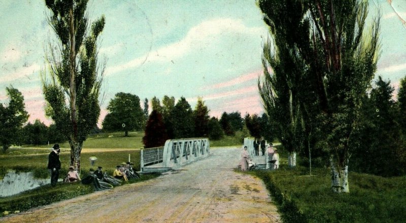 Circa 1905-10 People Bicycle Bridge, Ottawa Park, Toledo, Ohio P11