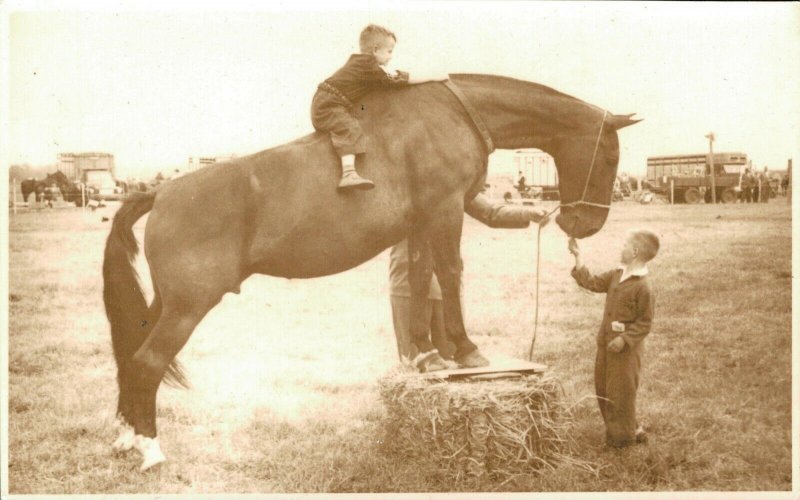 Horse Sports - Kids On A Big Horse Real Photo 03.98