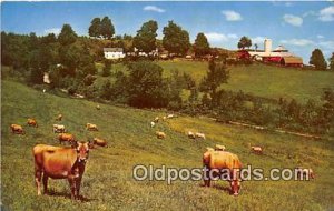 Cows Make Cheese Black River Falls, Wisconsin, USA Cow Unused 