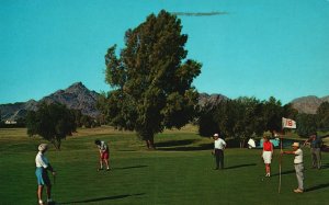 Vintage Postcard Arizona Biltmore Superb Hotel Golf Course Phoenix Arizona AZ