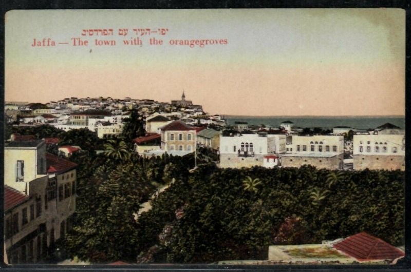 Ordmann No 34 Jaffa - The town with the orangegroves Palestine Israel postcard