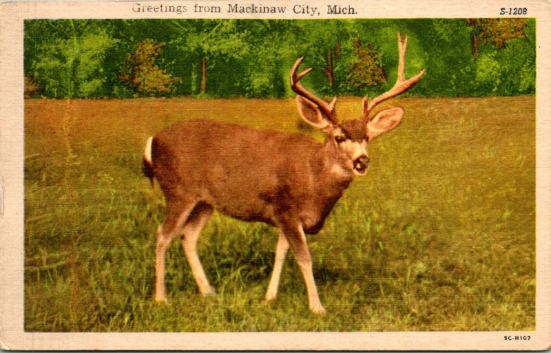 Mackinaw City MI Deer Postcard Unused (29422)