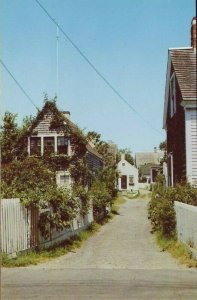 Massachusetts Cape Cod MASS - a village lane scene postcard