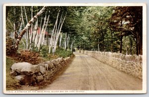 Detroit Pub~Stretch Of The Main Road @ Silver Bay On Lake George~Vintage Postcar
