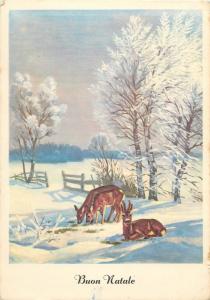 Buon Natale Italy greetings winter fantasy deer postcard