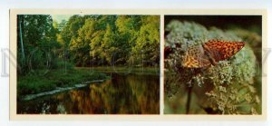 484733 1981 Oka Reserve Butterflies oxbow river Pra photo Gippenreiter Planeta