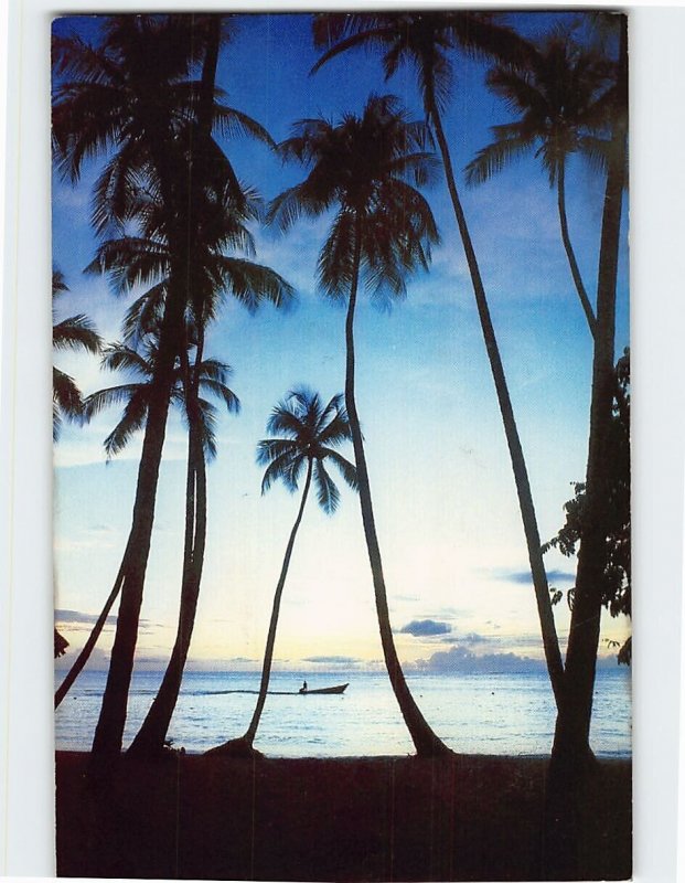 Postcard Evening boat ride in tranquil Tobago, Trinidad and Tobago