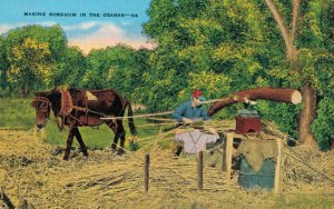 USA Making Sorghum in the Ozarks Missouri Vintage Postcard 07.52