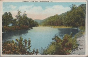 Postcard Lycoming Creek Near Williamsport PA 1921