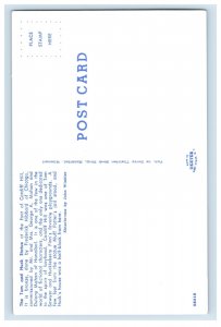 Vintage Tom And Huck Statue Chicago Illinois Postcard P85E