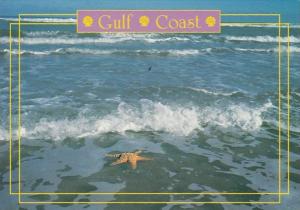 Texas South Padre Island Gulf Coast Scene