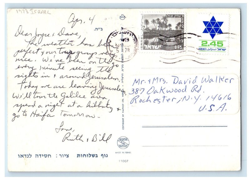 1978 Tree Painting, Letter from Ruth and Bill, Israel Foreign Vintage Postcard
