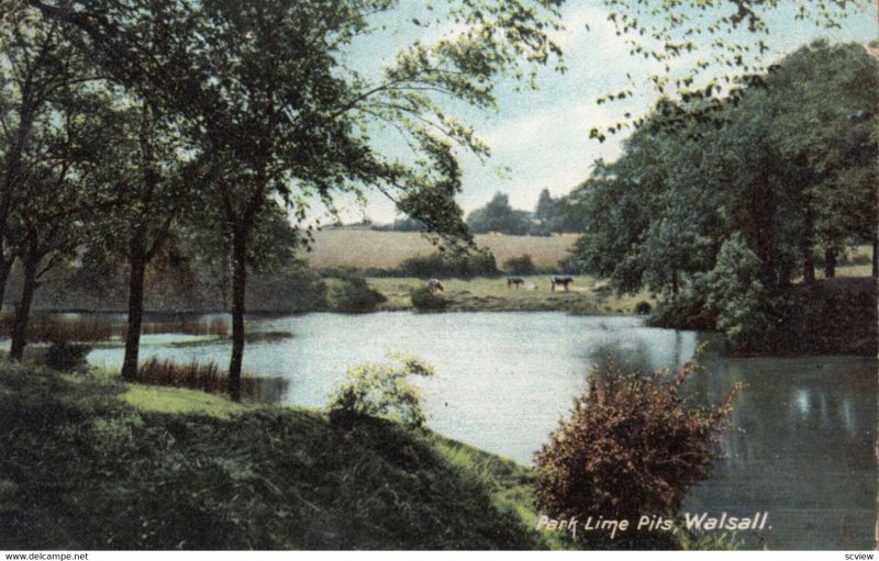 WALSALL, Staffordshire, 1905; Park Lime Pits; TUCK 4432