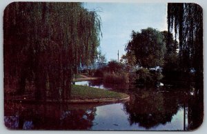 Cincinnati Ohio 1950s Postcard Model Sailboating On Twin Lakes Eden Park