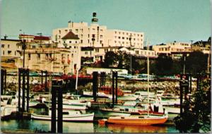 The Shoreline Hotel Nanaimo BC Downtown Unused Vintage Postcard D64