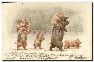 Postcard Old Pig Pig