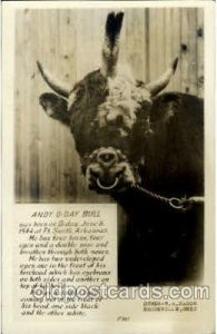 4 Horn Bull Bull with 4 horns, Unused 