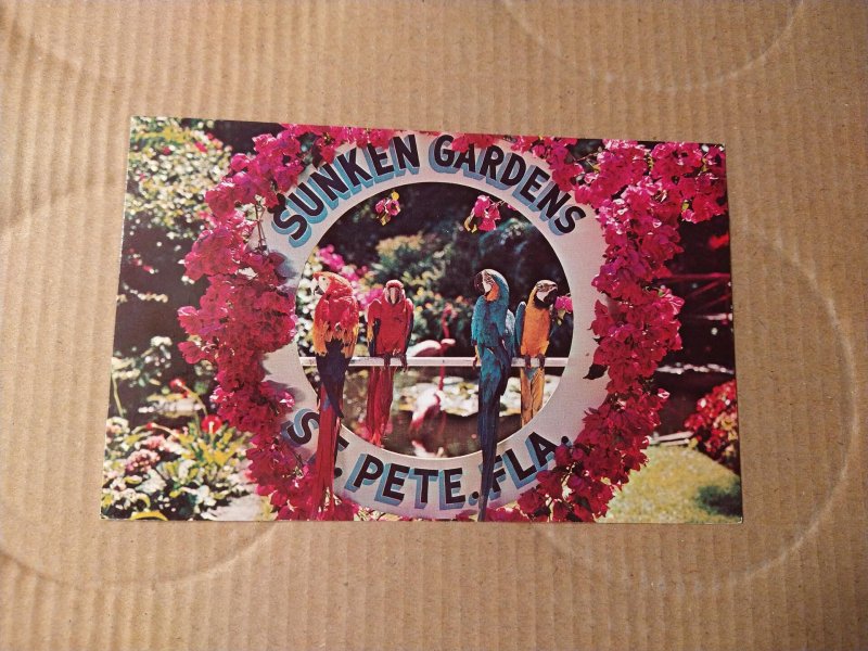 Florida's Sunken Gardens, St. Petersburg, Florida Parrots Birds Chrome P...