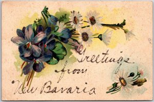 Greetings from New Bavaria Flower Bouquet Violets Postcard