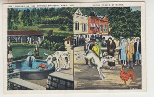 P2919, OLD postcard multiview just arrived at hot springs arkansas with donkey